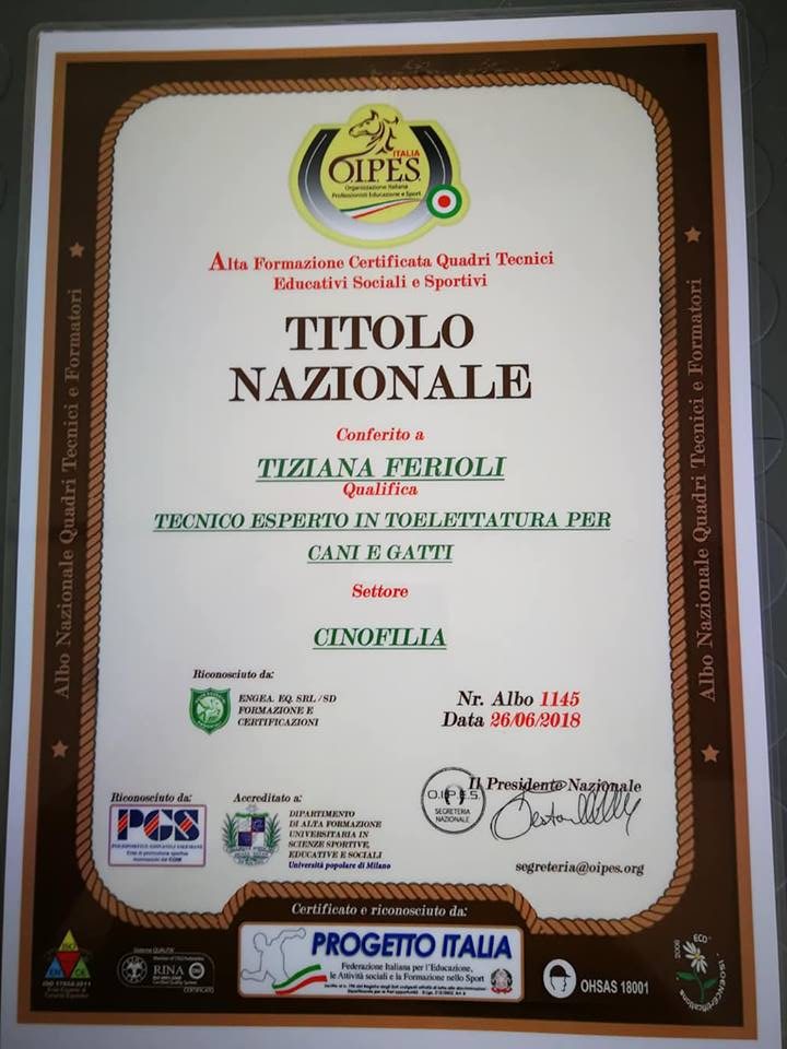 CERTIFICATO NAZIONALE 2