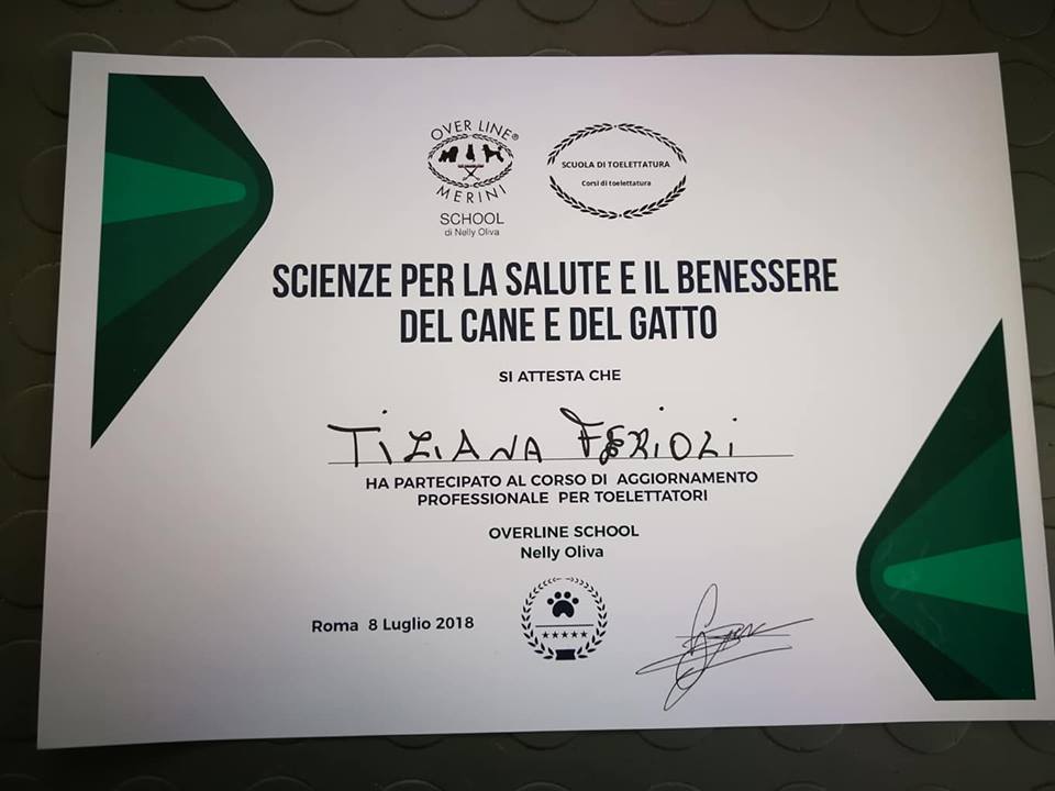 CERTIFICATO NAZIONALE 3