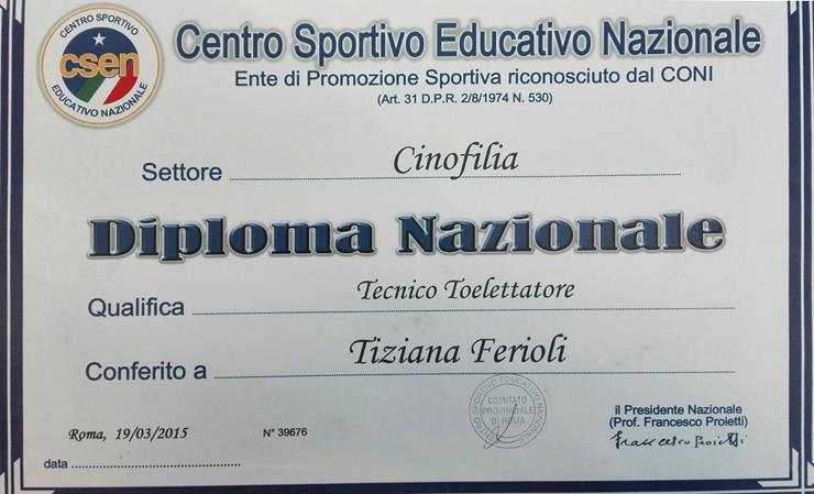 diploma