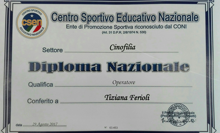 diploma2